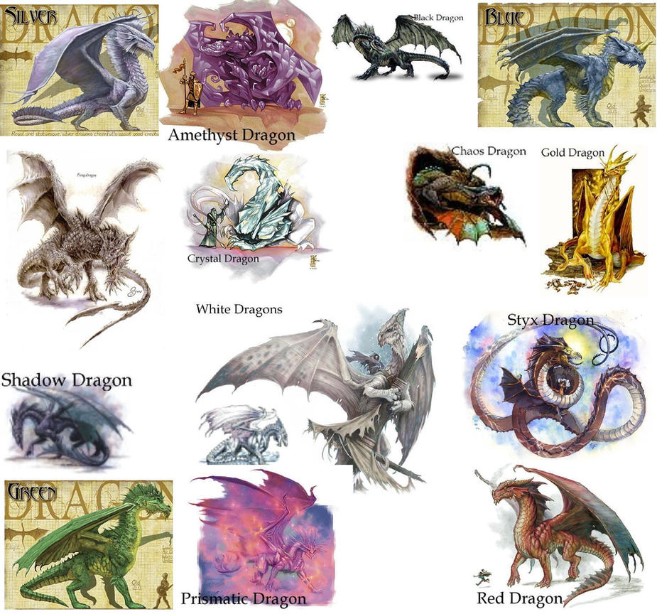 Dragon Classification Examples by on DeviantArt