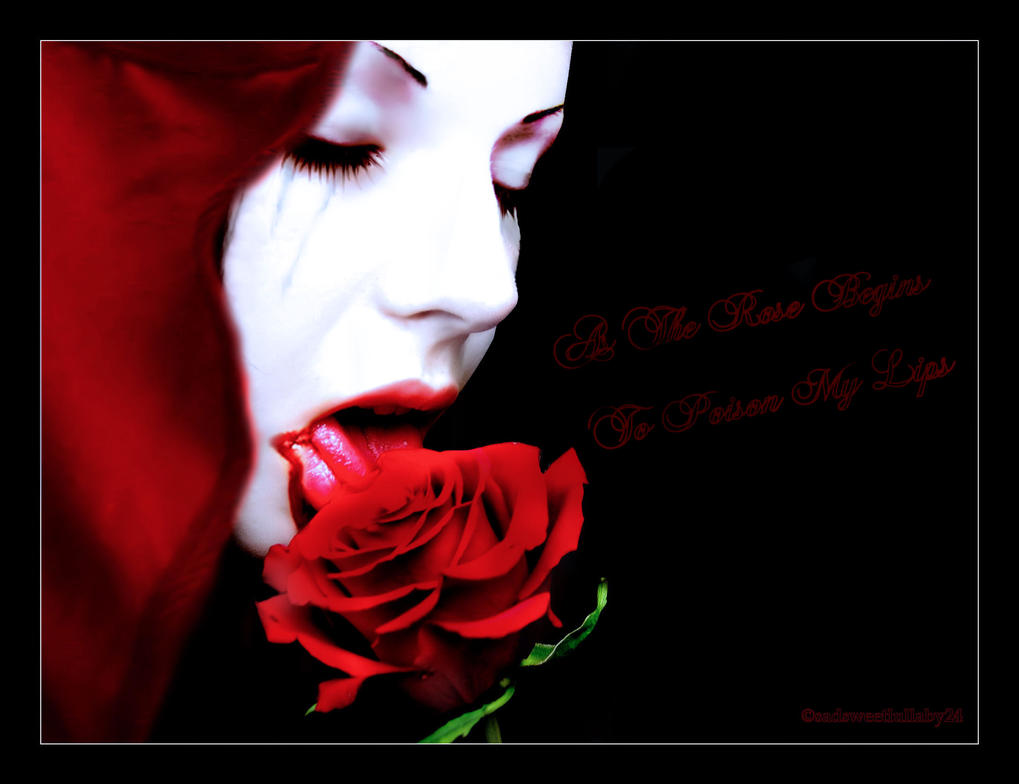 http://th02.deviantart.net/fs15/PRE/f/2007/081/0/7/Poisonous_Rose_by_sadsweetlullaby24.jpg