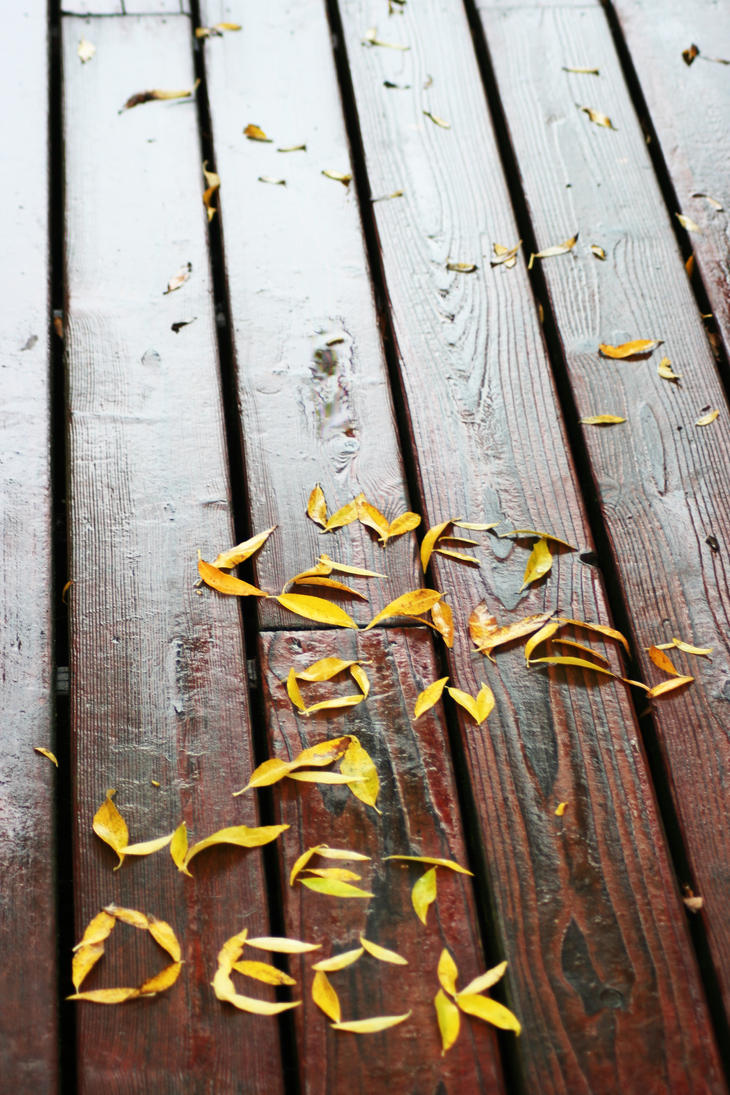 Wet_leaves_on_a_wet_deck_by_MasterFruityLoops.jpg