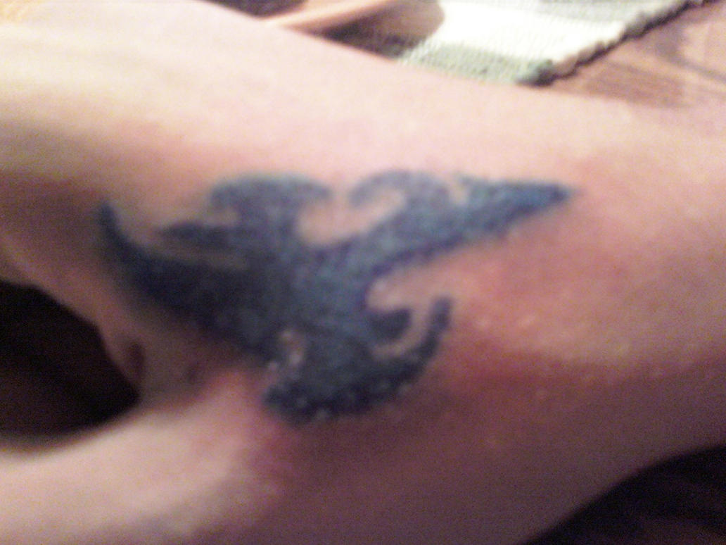 The Best Tribal Dragon Tattoos