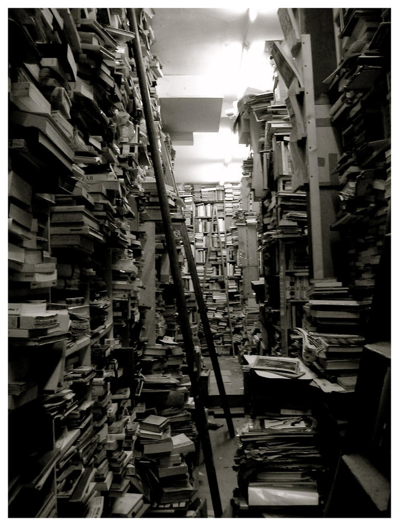A_lot_of_books_by_Pierropod.jpg"
