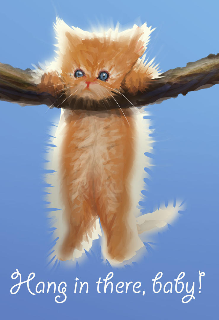 hang in there cat clipart - photo #1