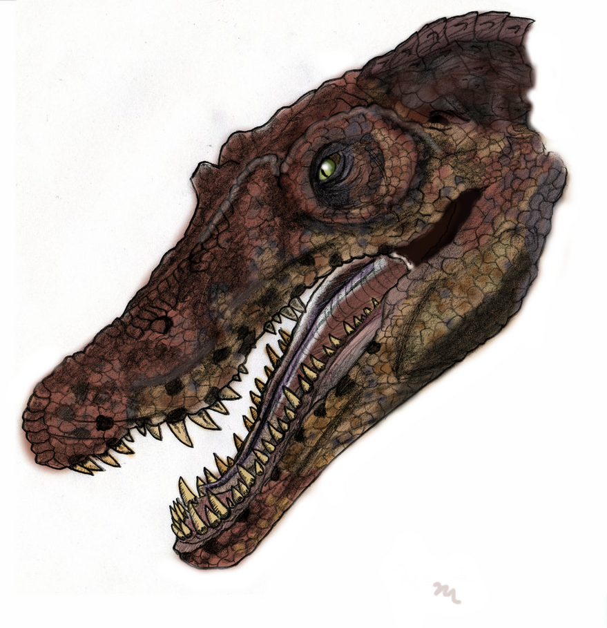 jurassic_park_spinosaurus_by_yankeetrex-d3a7mll.png