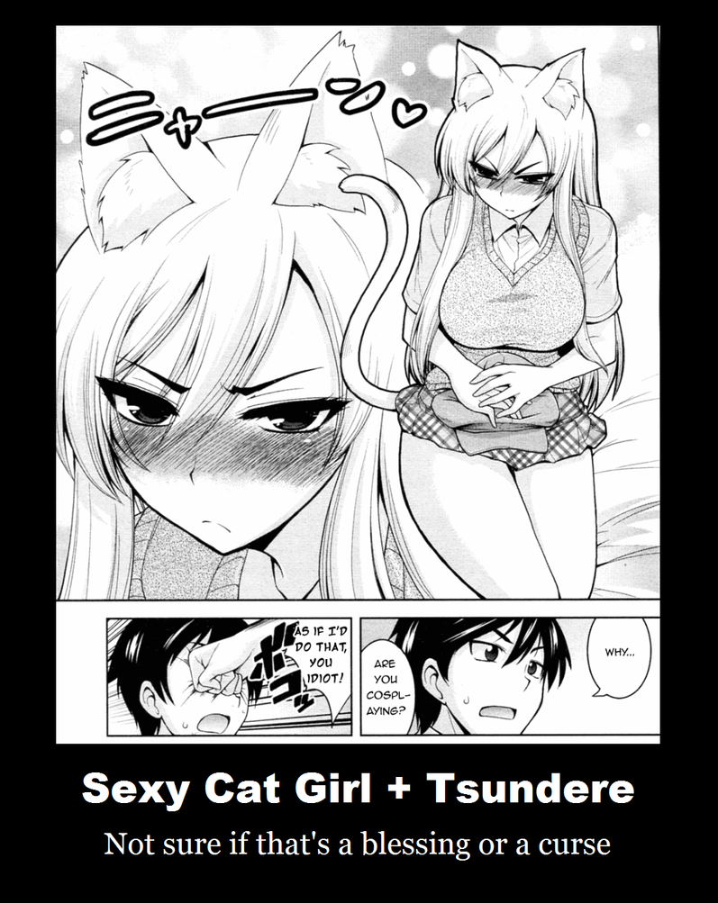 sexy_cat_girl_tsundere_demotivational_po