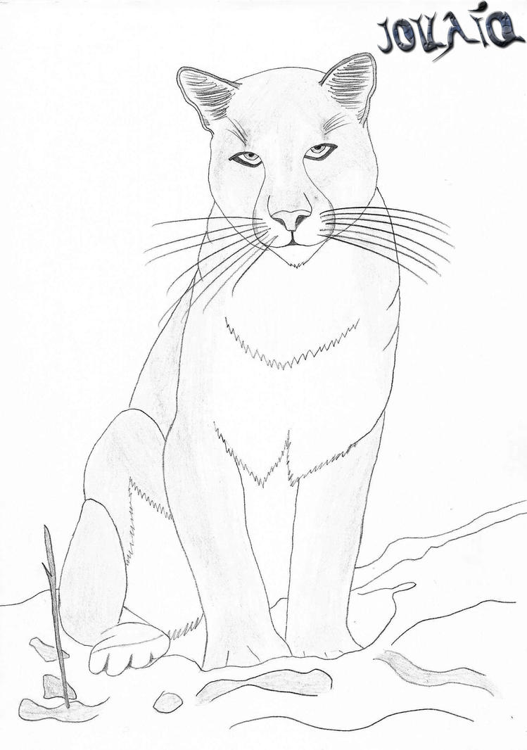 coloring pages mountain lion - photo #26