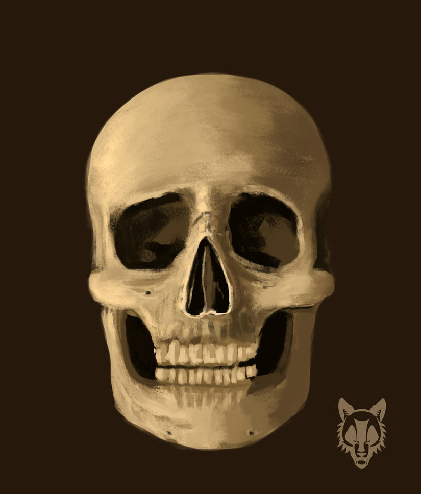 [Image: skull8_by_wolkenfels-d7ft5zs.jpg]