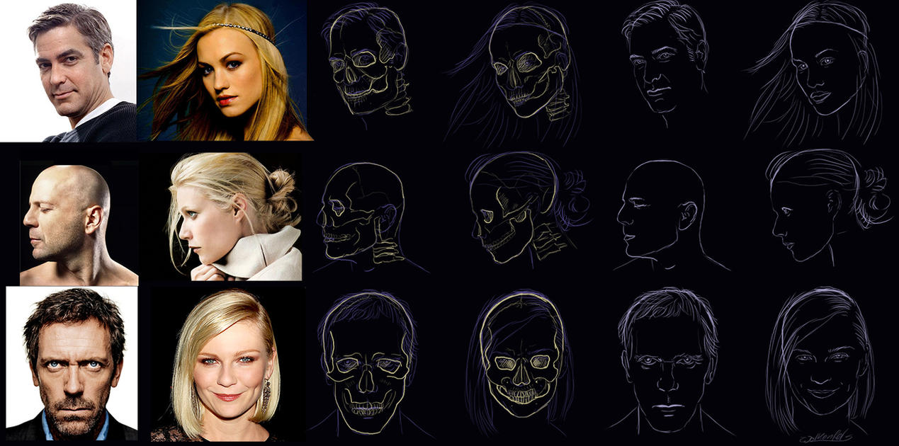 [Image: celebrity_heads_and_skulls_by_wolkenfels-d61p8nq.jpg]