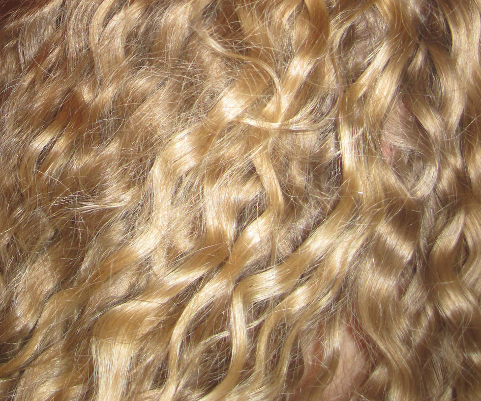 hair_texture_by_diza_74-d4rq2j9.jpg