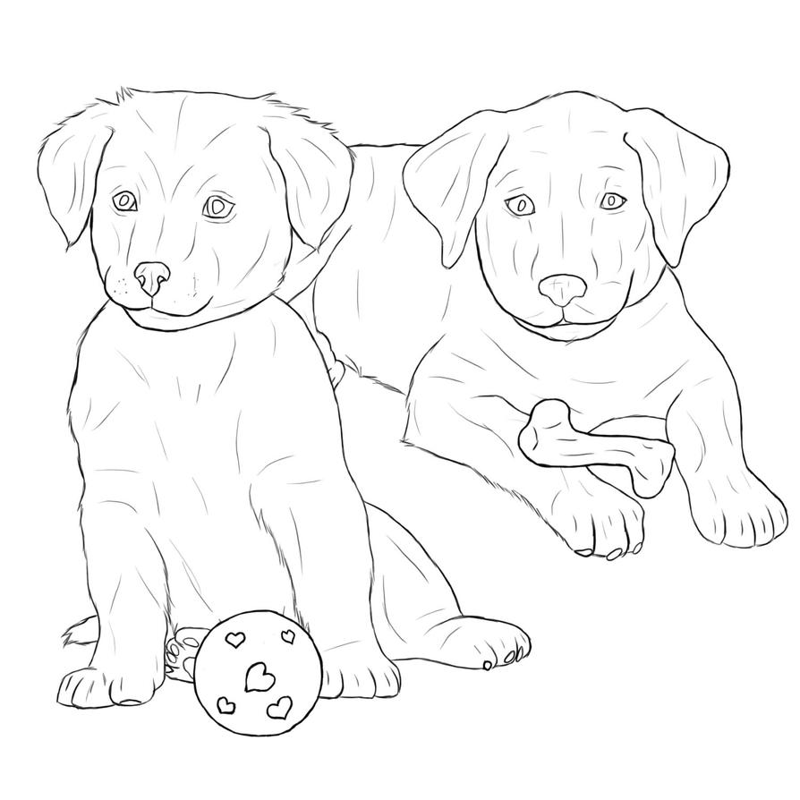 yellow lab dog coloring pages - photo #21