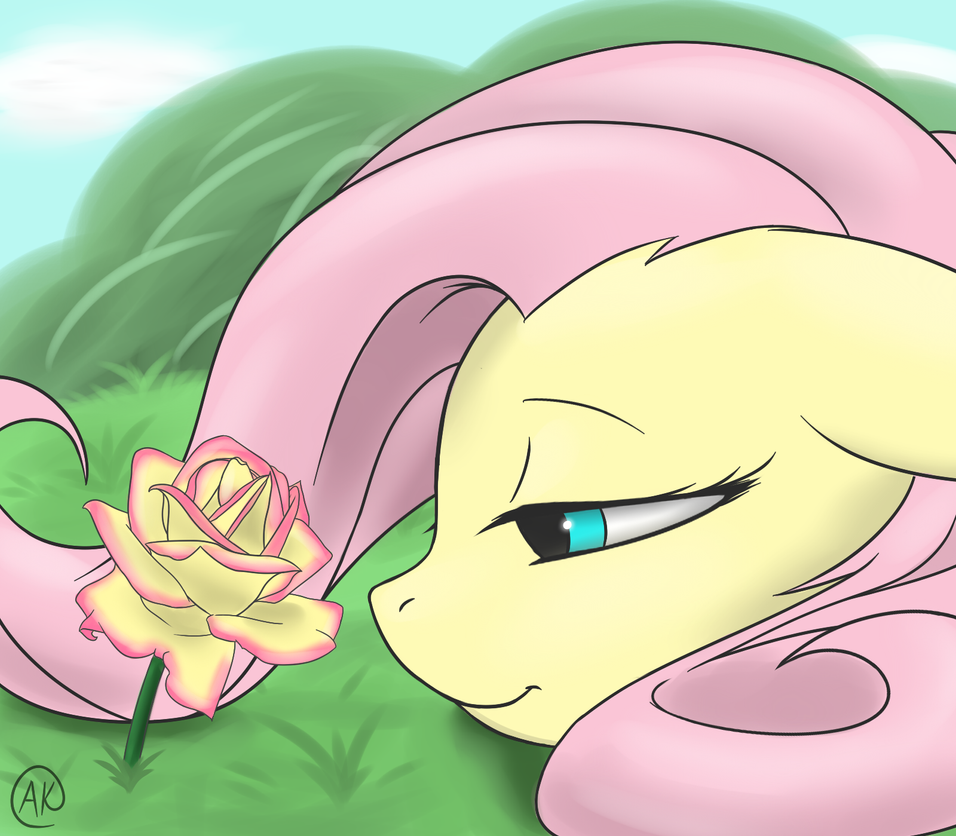a_delicate_rose_by_thezealotnightmare-d6